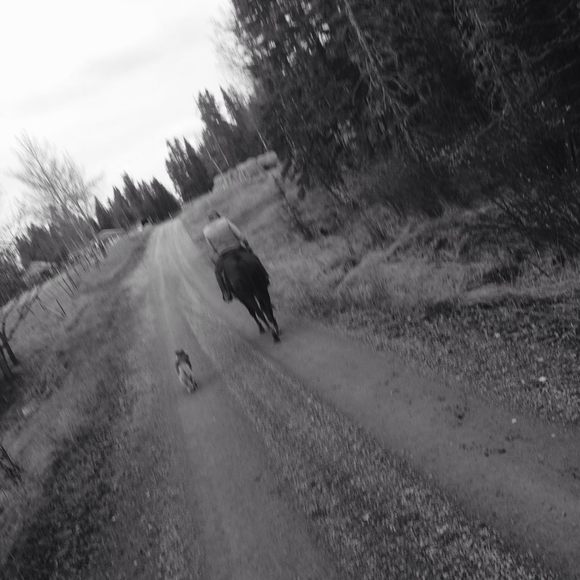 Meet your Posher, Tj - Picture 1 of 1